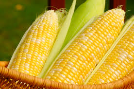 Freshly Cut Corn