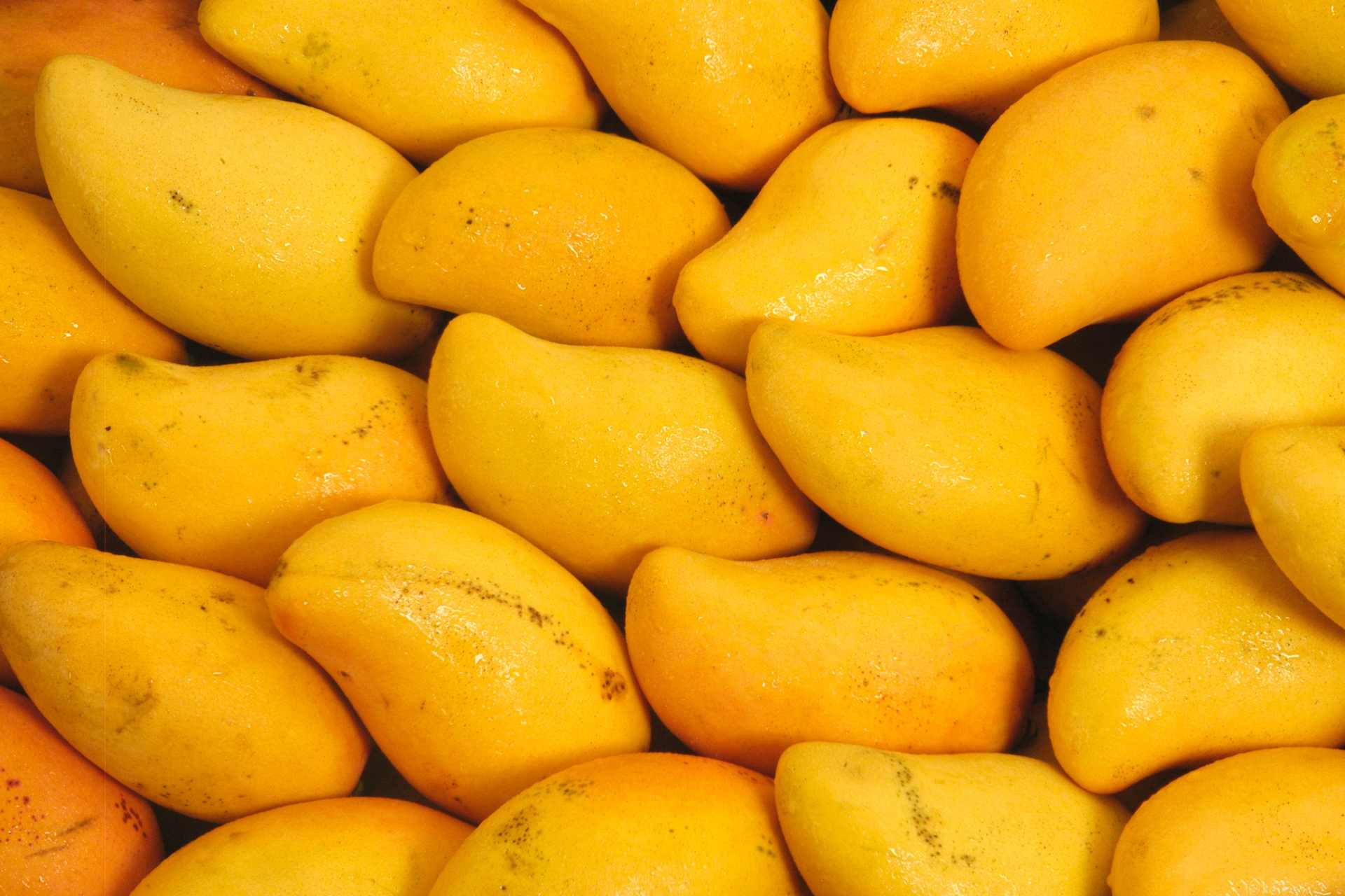 Juicy Mangoes