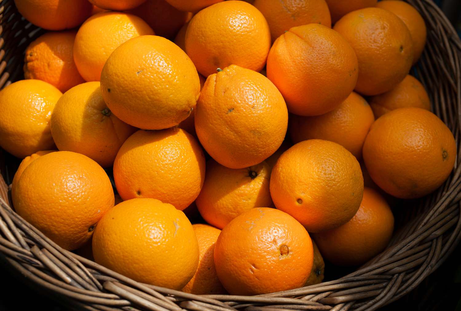 Orange Farm in Punjab